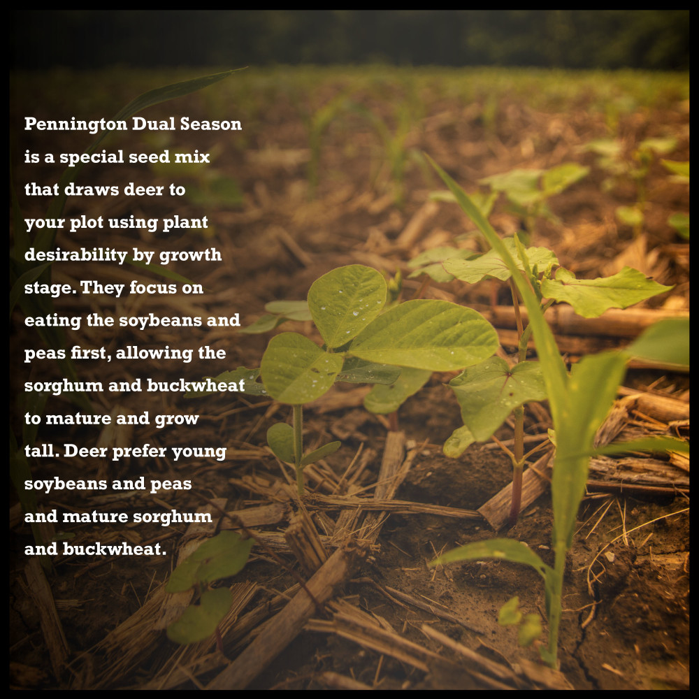 100538332-pennington-rackmaster-wildlife-dual-season-mix-10-lb-7