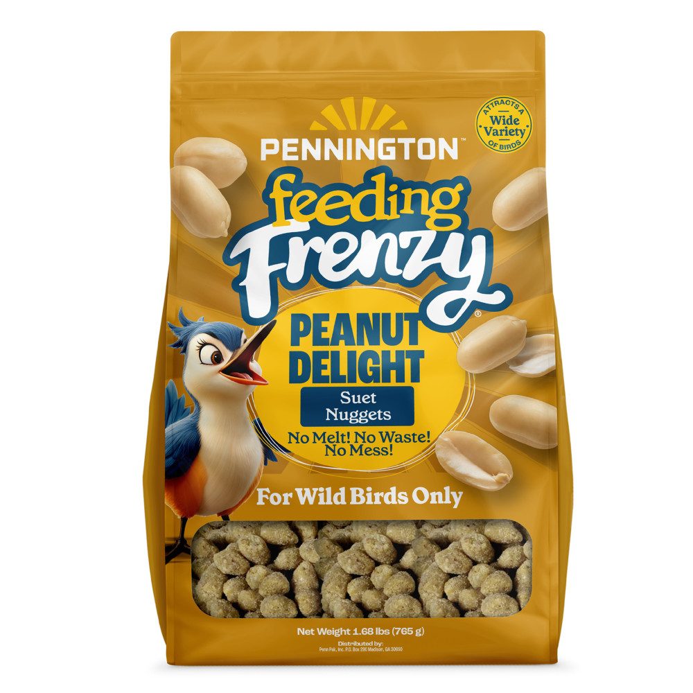 100551926-pennington-feeding-frenzy-peanut-suet-nuggets-27-ounce-1