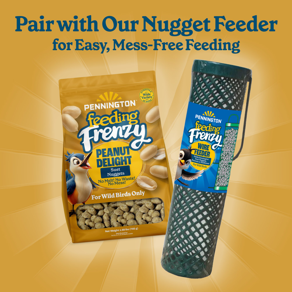 100551926-pennington-feeding-frenzy-peanut-suet-nuggets-27-ounce-8