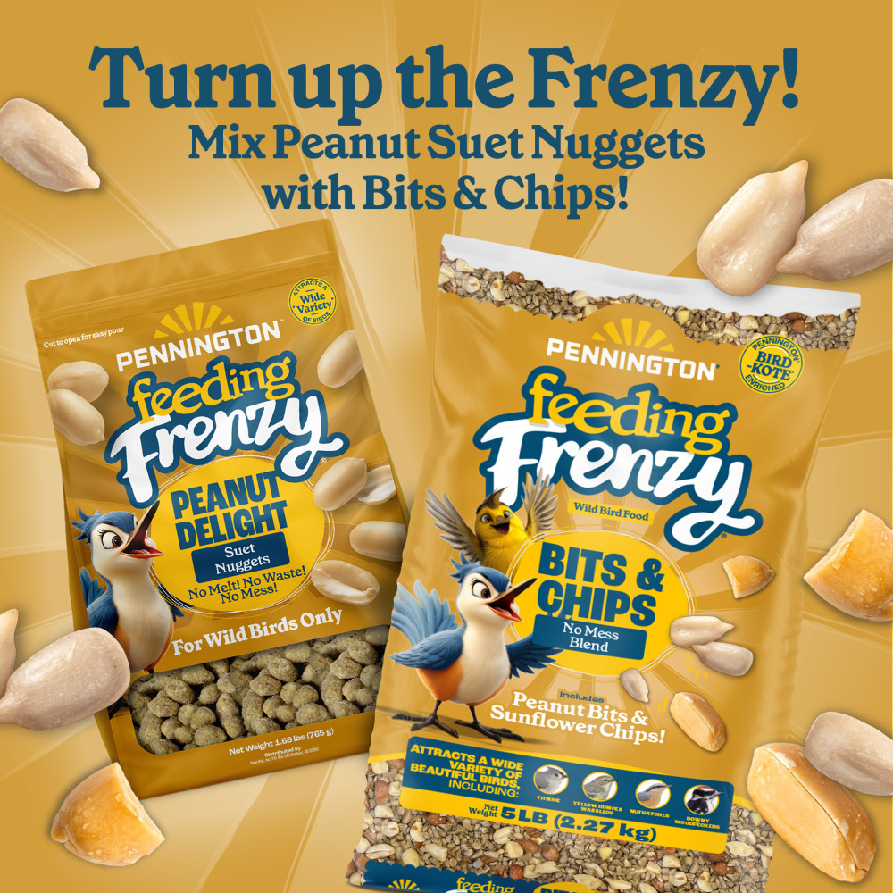 100551926-pennington-feeding-frenzy-peanut-suet-nuggets-27-ounce-9