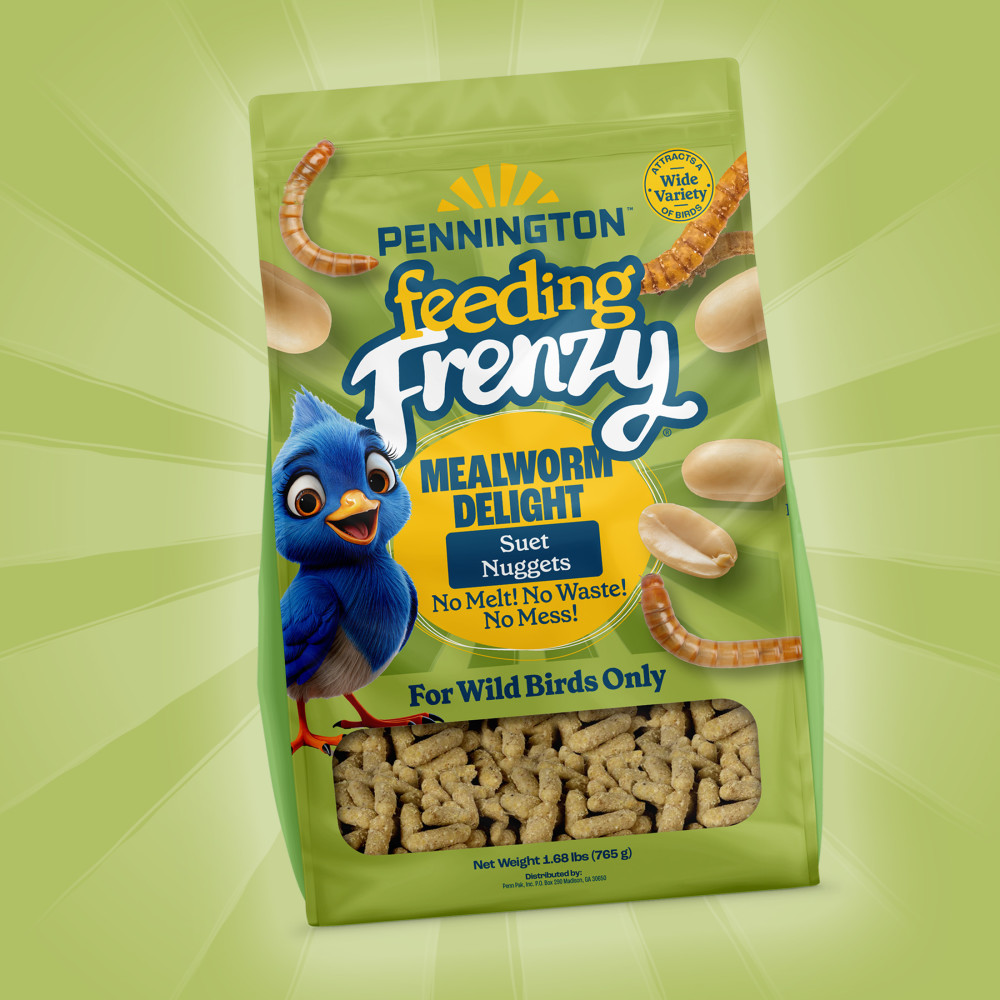 100551927-pennington-feeding-frenzy-mealworm-suet-nuggets-27-ounce-13