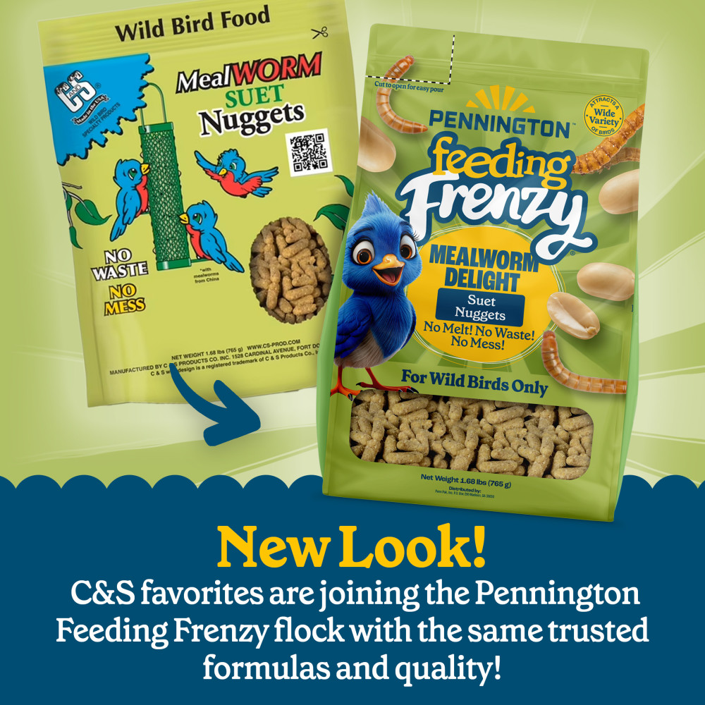 100551927-pennington-feeding-frenzy-mealworm-suet-nuggets-27-ounce-2