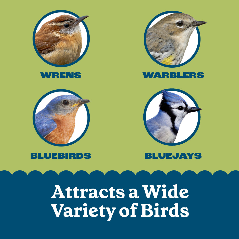 100551927-pennington-feeding-frenzy-mealworm-suet-nuggets-27-ounce-5