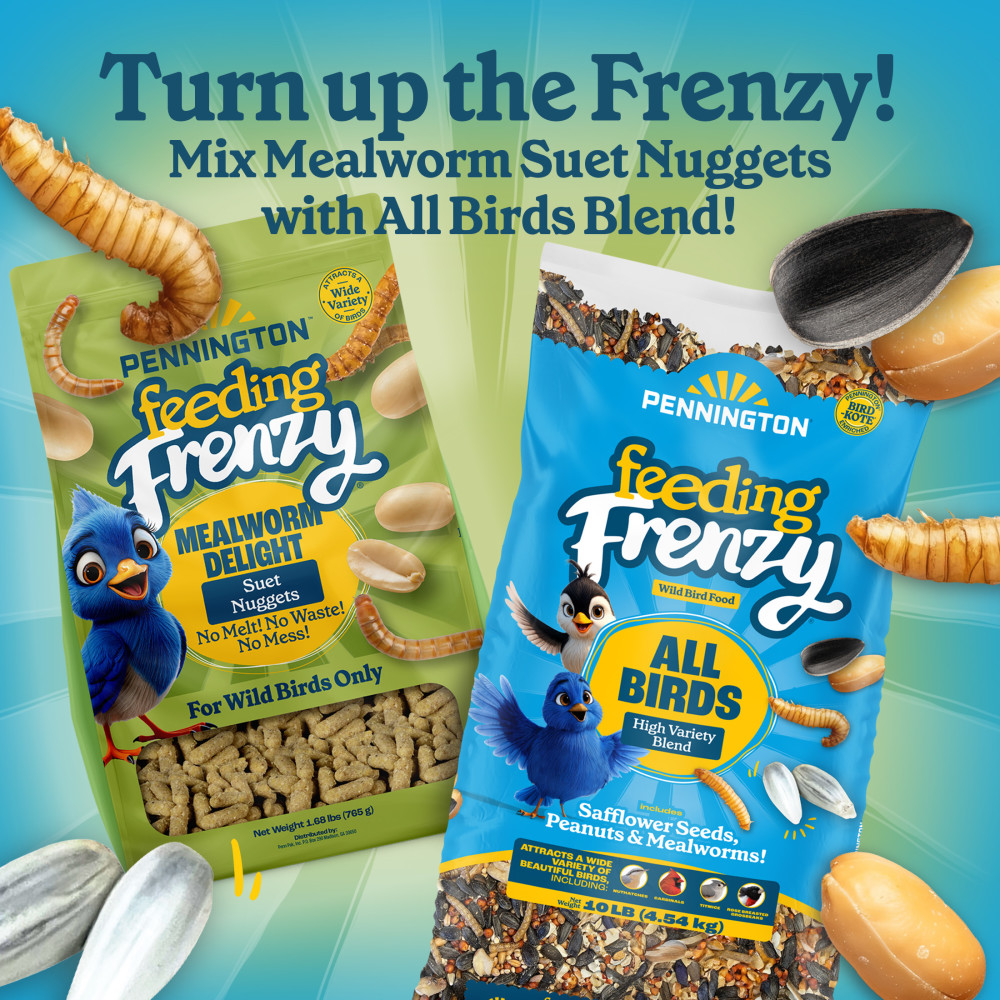 100551927-pennington-feeding-frenzy-mealworm-suet-nuggets-27-ounce-8
