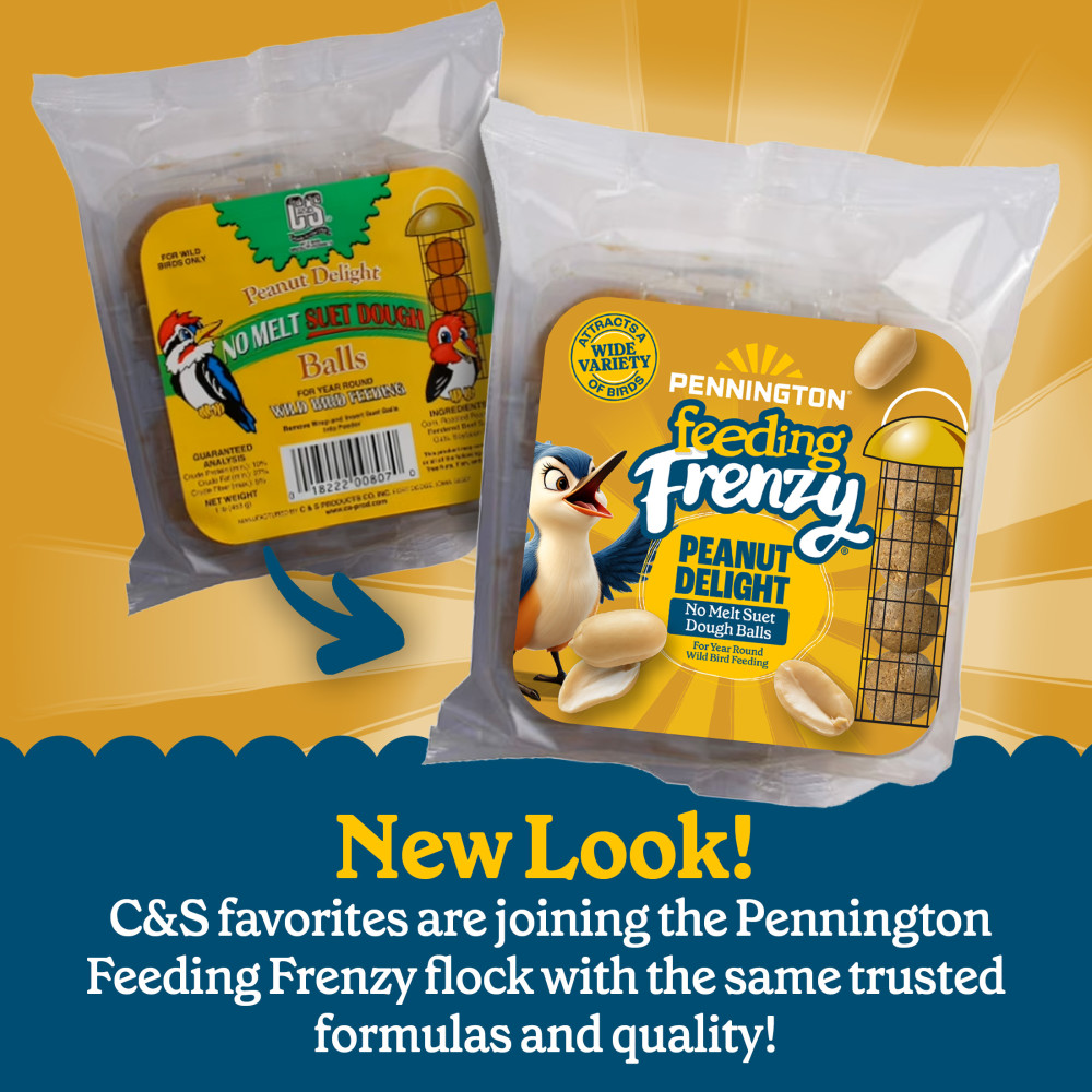 100551943-pennington-feeding-frenzy-peanut-dough-balls-4-pack-2