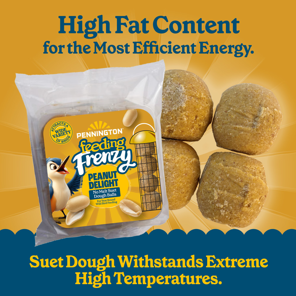 100551943-pennington-feeding-frenzy-peanut-dough-balls-4-pack-3