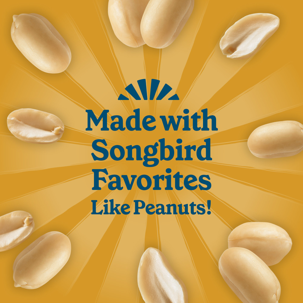 100551943-pennington-feeding-frenzy-peanut-dough-balls-4-pack-4