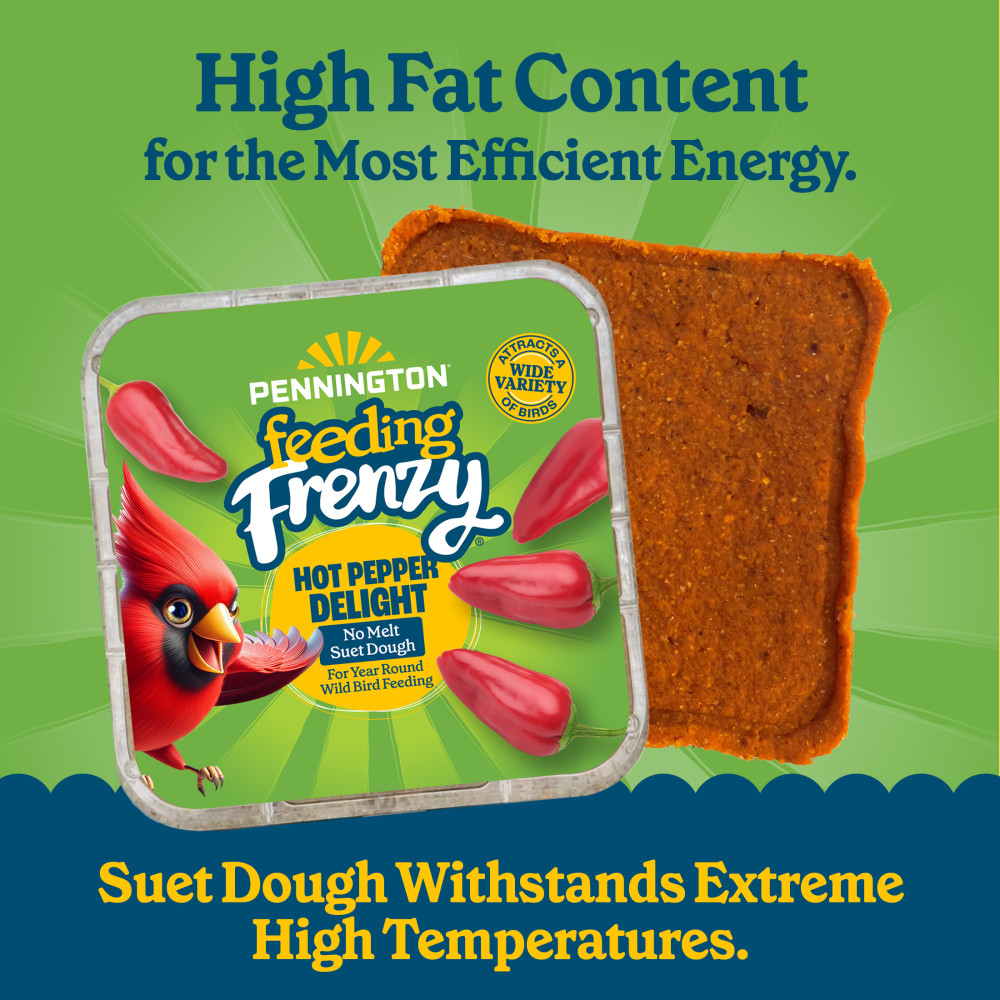 100551951-pennington-feeding-frenzy-hot-pepper-delight--1175-ounce-3