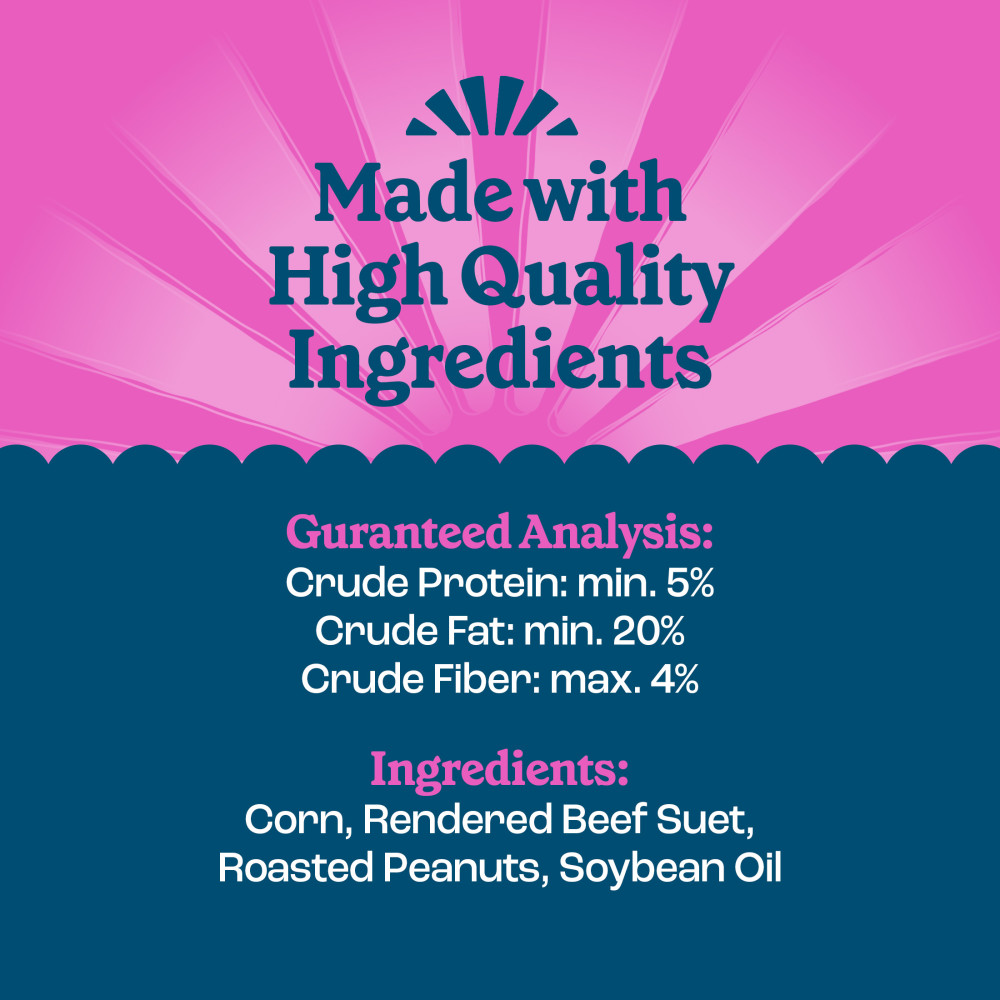 100551952-pennington-feeding-frenzy-woodpecker-_-songbird-delight-10-ounce-10