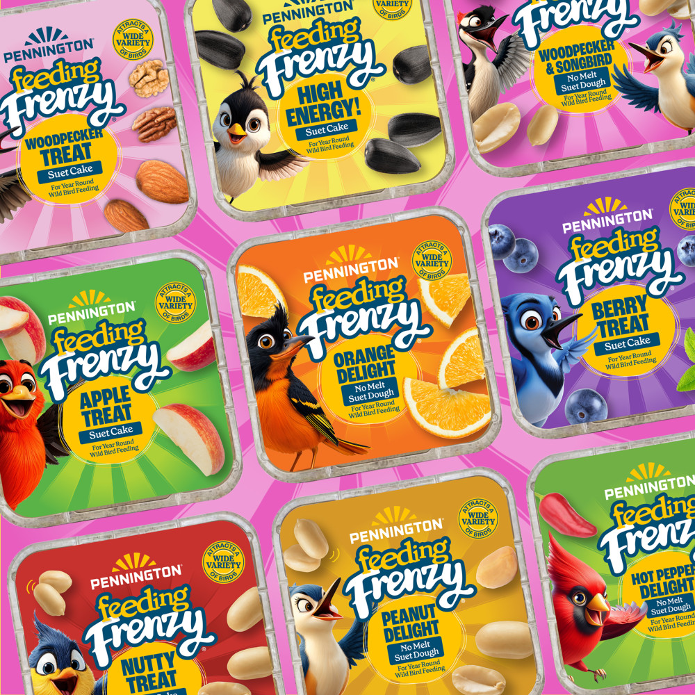 100551952-pennington-feeding-frenzy-woodpecker-_-songbird-delight-10-ounce-11