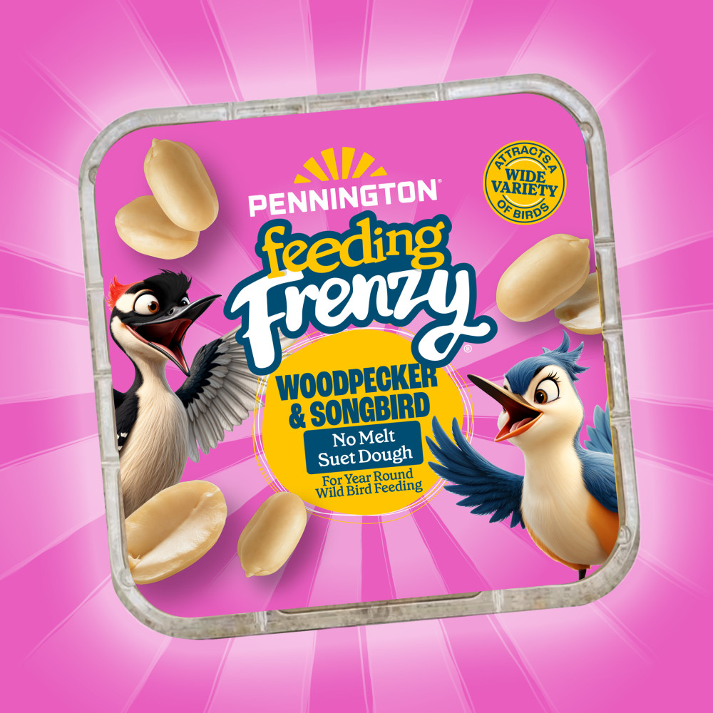 100551952-pennington-feeding-frenzy-woodpecker-_-songbird-delight-10-ounce-12