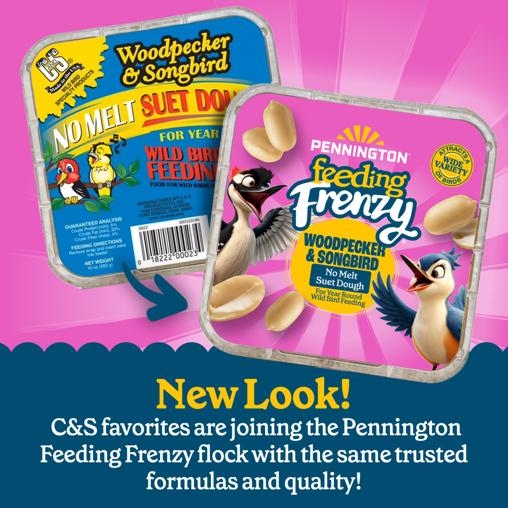 100551952-pennington-feeding-frenzy-woodpecker-_-songbird-delight-10-ounce-2