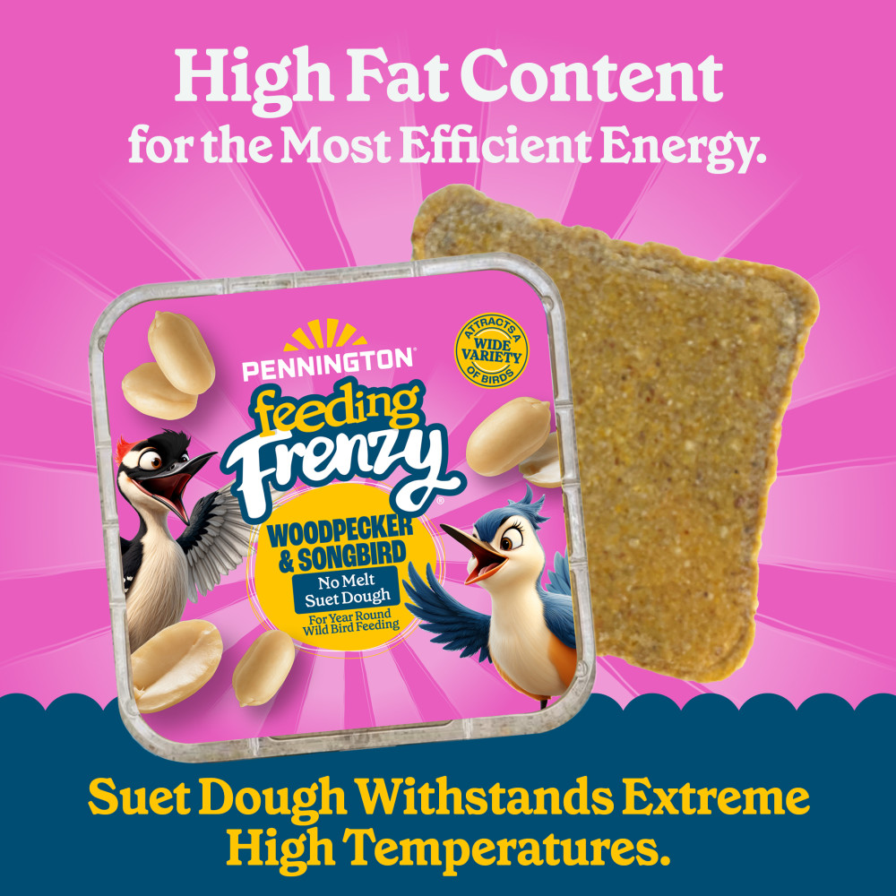 100551952-pennington-feeding-frenzy-woodpecker-_-songbird-delight-10-ounce-3