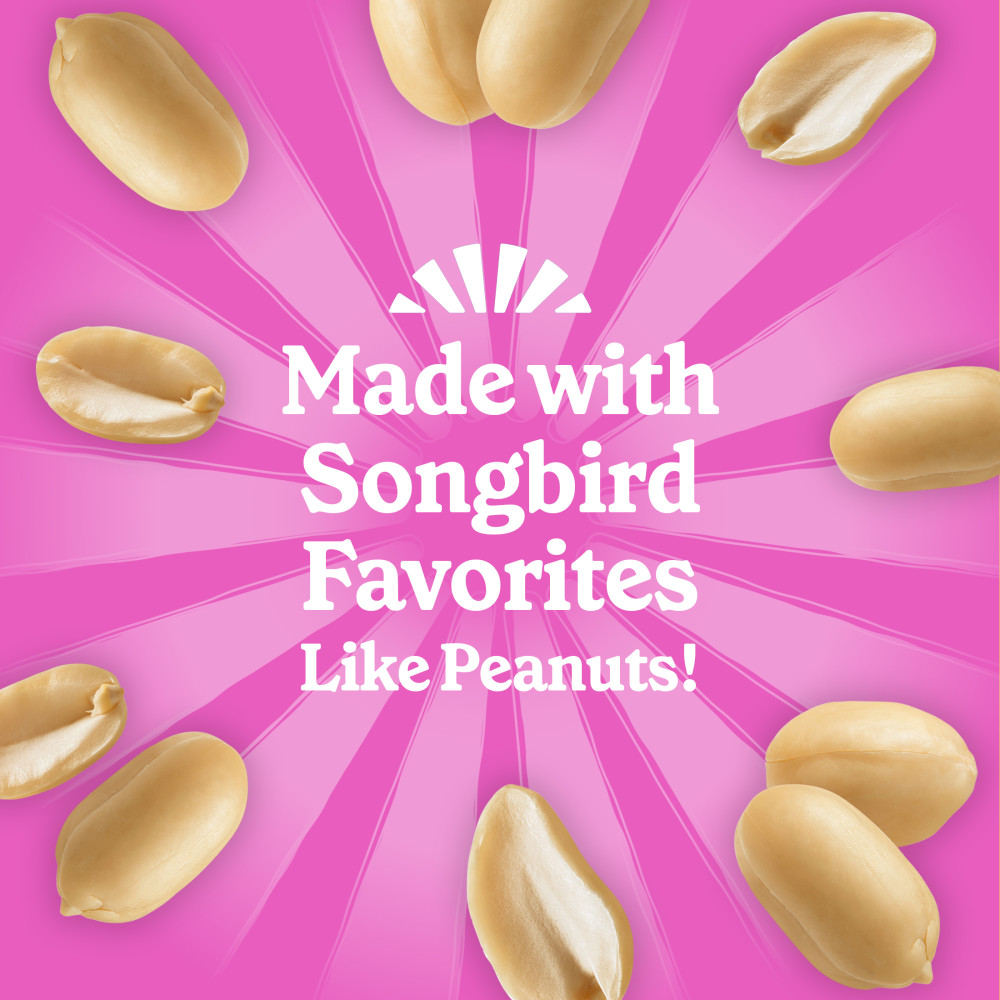 100551952-pennington-feeding-frenzy-woodpecker-_-songbird-delight-10-ounce-4