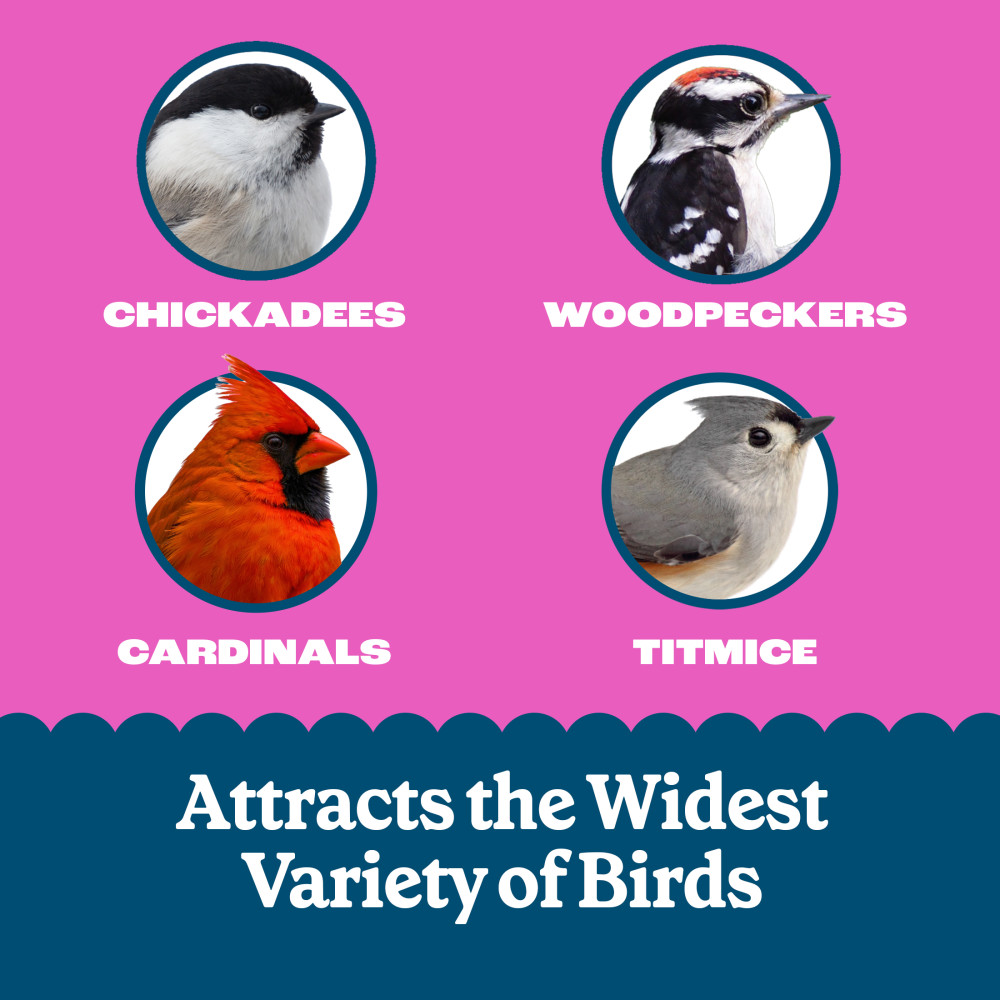 100551952-pennington-feeding-frenzy-woodpecker-_-songbird-delight-10-ounce-5