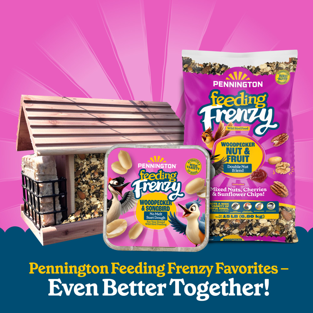 100551952-pennington-feeding-frenzy-woodpecker-_-songbird-delight-10-ounce-8