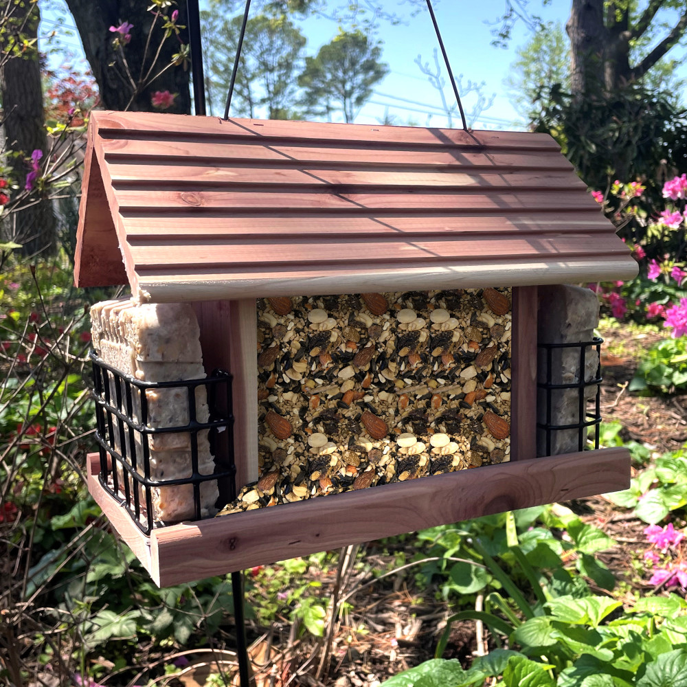 100551952-pennington-feeding-frenzy-woodpecker-_-songbird-delight-10-ounce-9