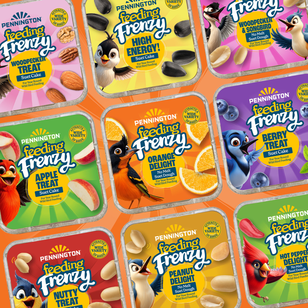 100551954-pennington-feeding-frenzy-orange-delight-12_1175oz-1175-ounces-11