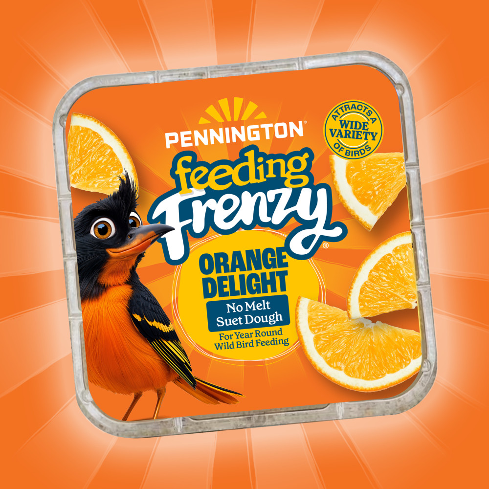 100551954-pennington-feeding-frenzy-orange-delight-12_1175oz-1175-ounces-12