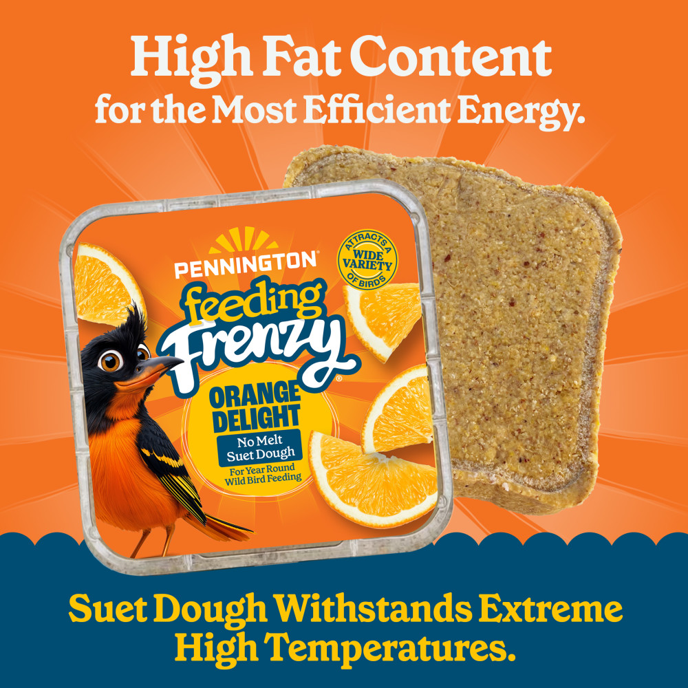 100551954-pennington-feeding-frenzy-orange-delight-12_1175oz-1175-ounces-3
