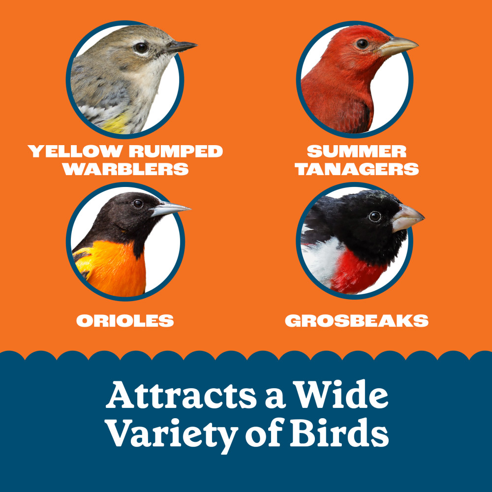 100551954-pennington-feeding-frenzy-orange-delight-12_1175oz-1175-ounces-5