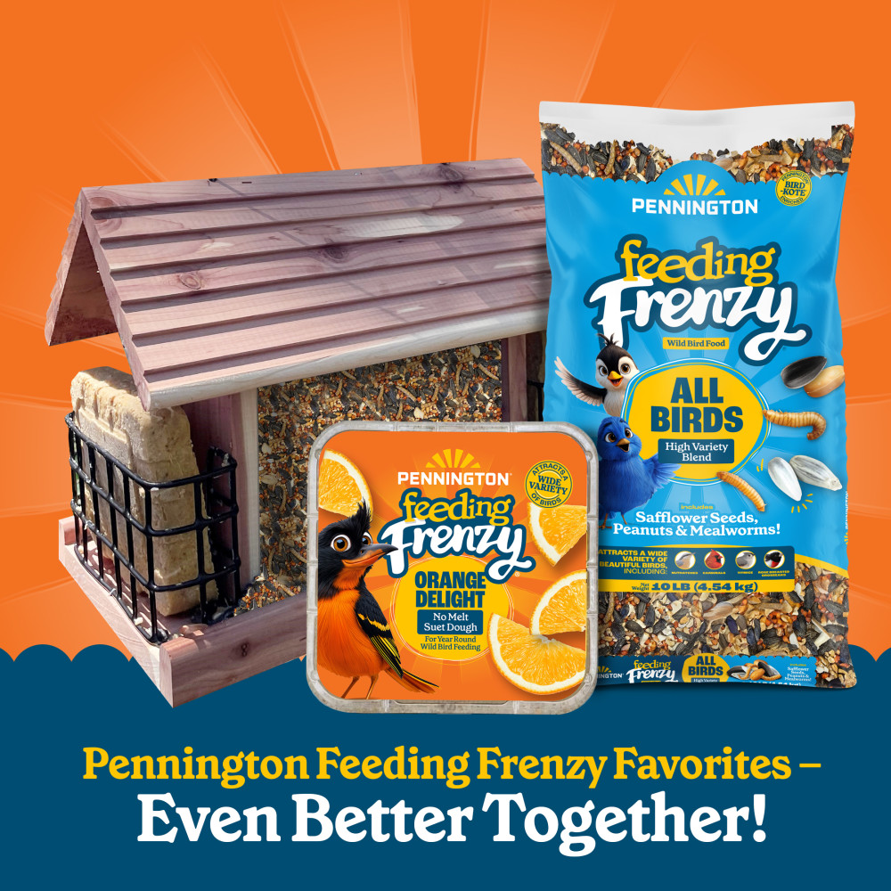 100551954-pennington-feeding-frenzy-orange-delight-12_1175oz-1175-ounces-8