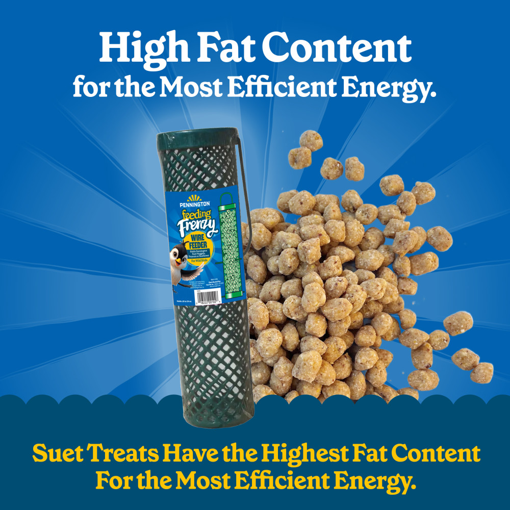 100551959-pennington-feeding-frenzy-nugget-wire-feeder--11-inch-x-3-inch-x-3-inch-3