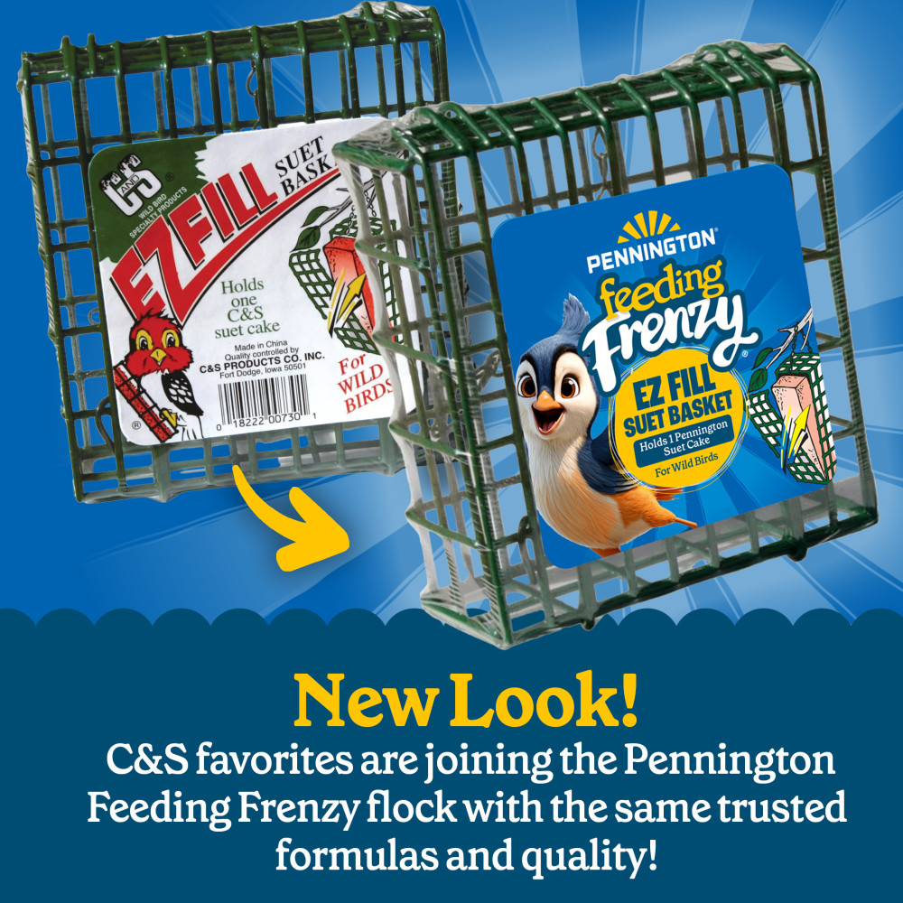 100551960-pennington-feeding-frenzy-ezfill-suet-green-730-basket--2-inch-x-525-inch-x-525-inch-2