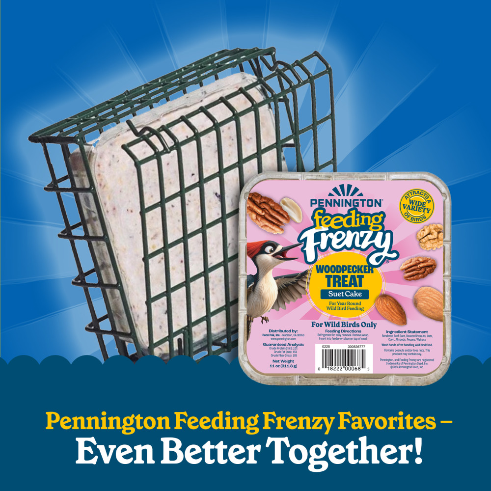 100551960-pennington-feeding-frenzy-ezfill-suet-green-730-basket--2-inch-x-525-inch-x-525-inch-3