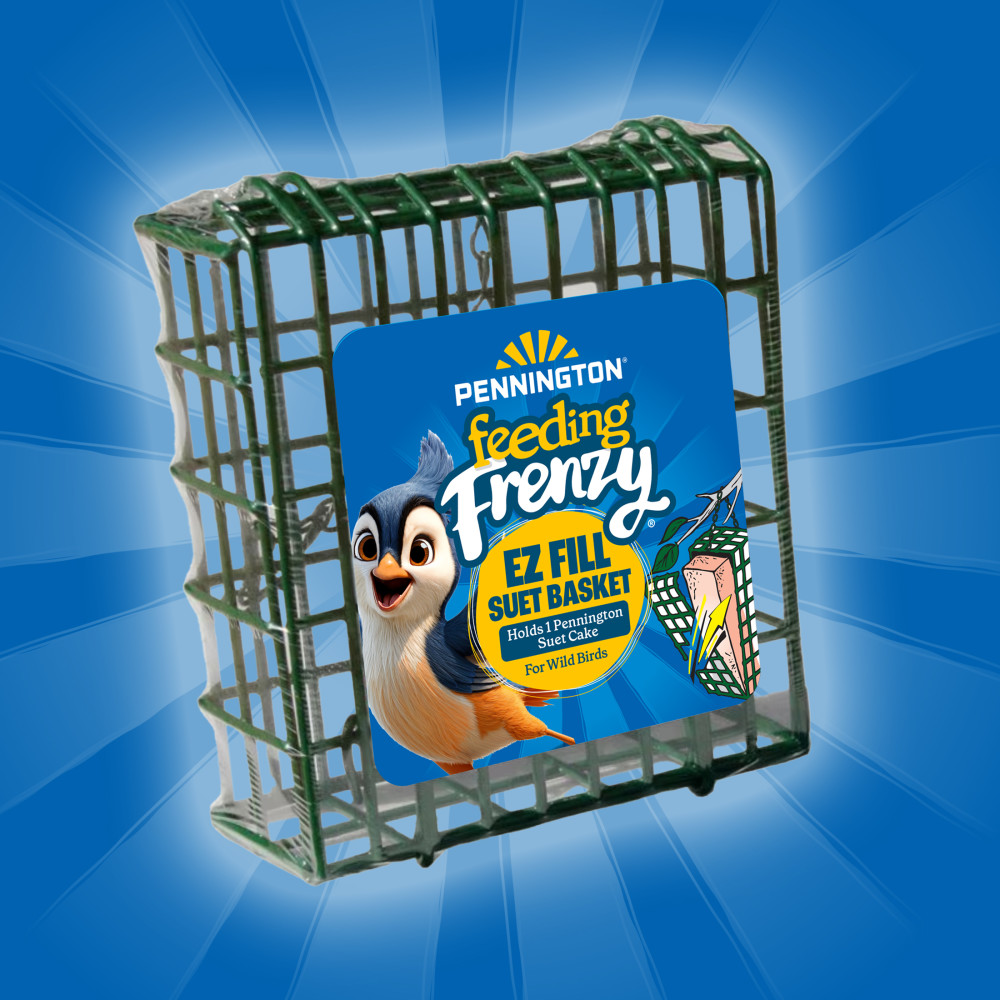 100551960-pennington-feeding-frenzy-ezfill-suet-green-730-basket--2-inch-x-525-inch-x-525-inch-8