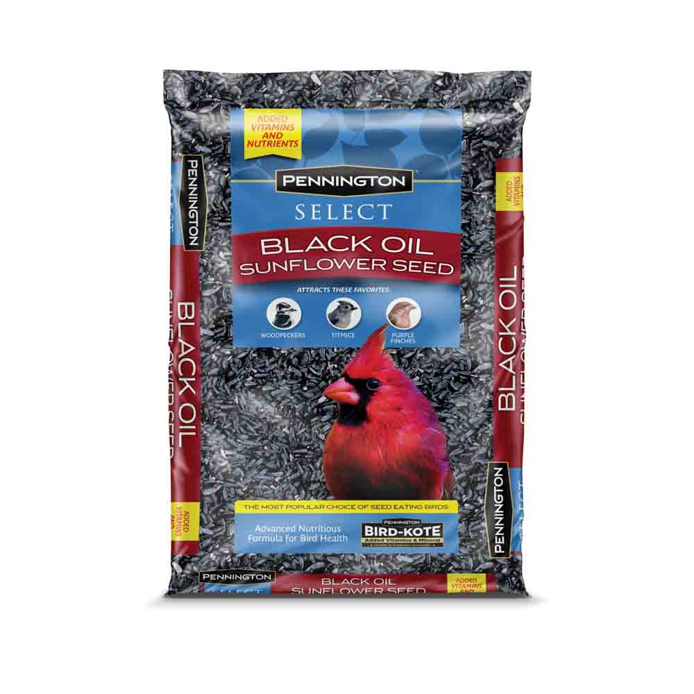 515576-Select-Black-Oil-Sunflower-Seed-10lb