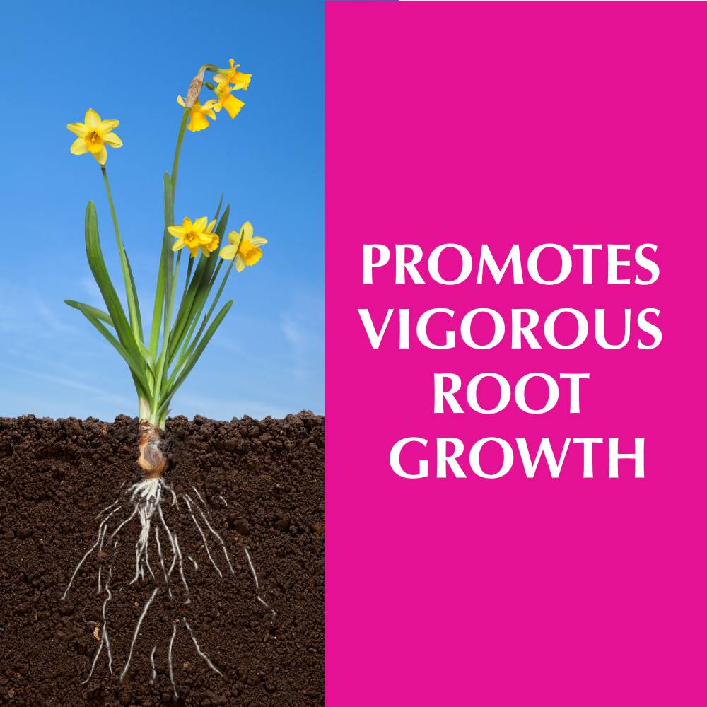 Alaska Morbloom Fertilizer