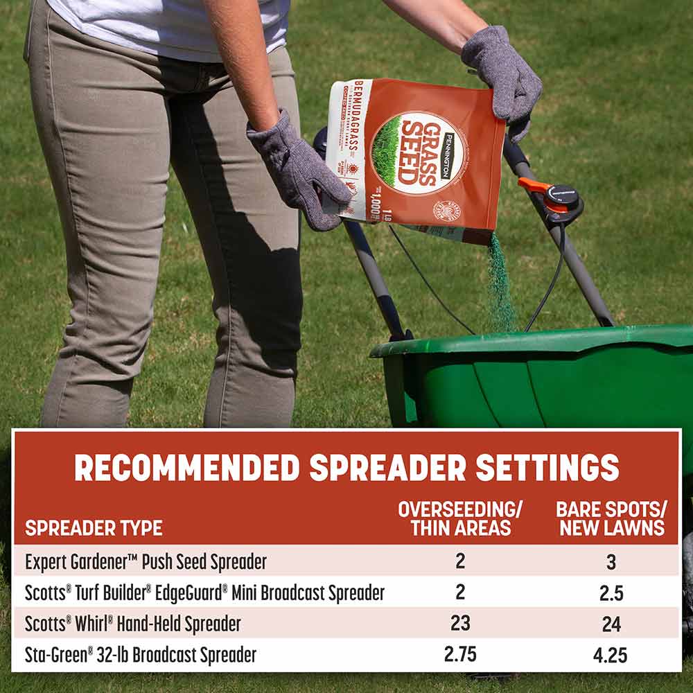 Bermudagrass-Grass-Seed-Alt-Images-12