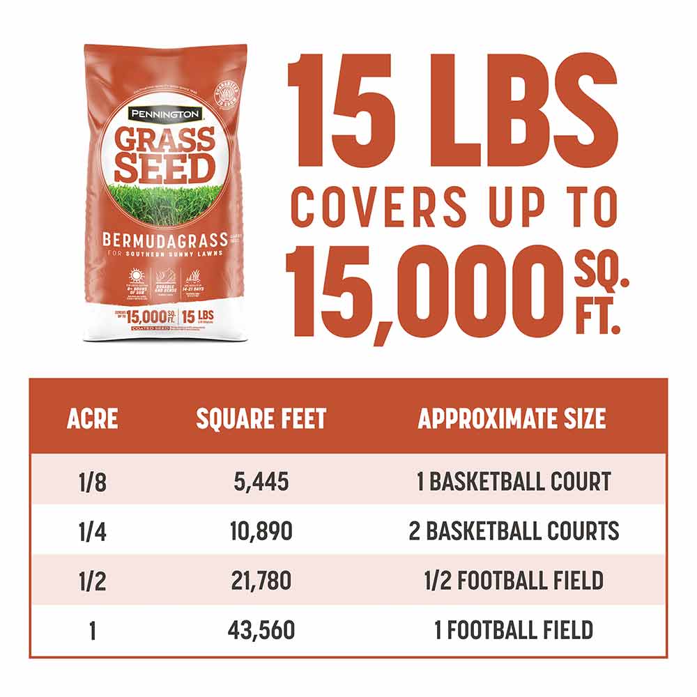 BermudagrassGrassSeedAltImages815lbjpg