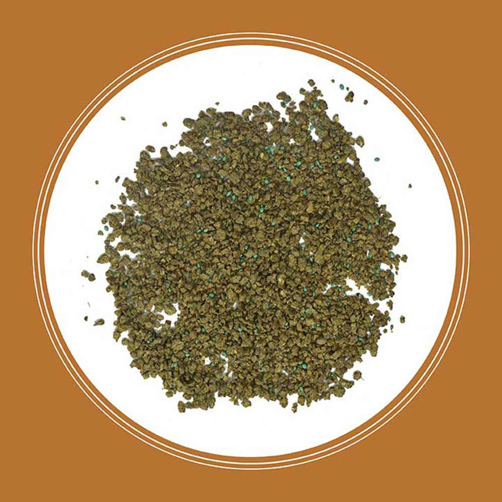 centipede-grass-seed