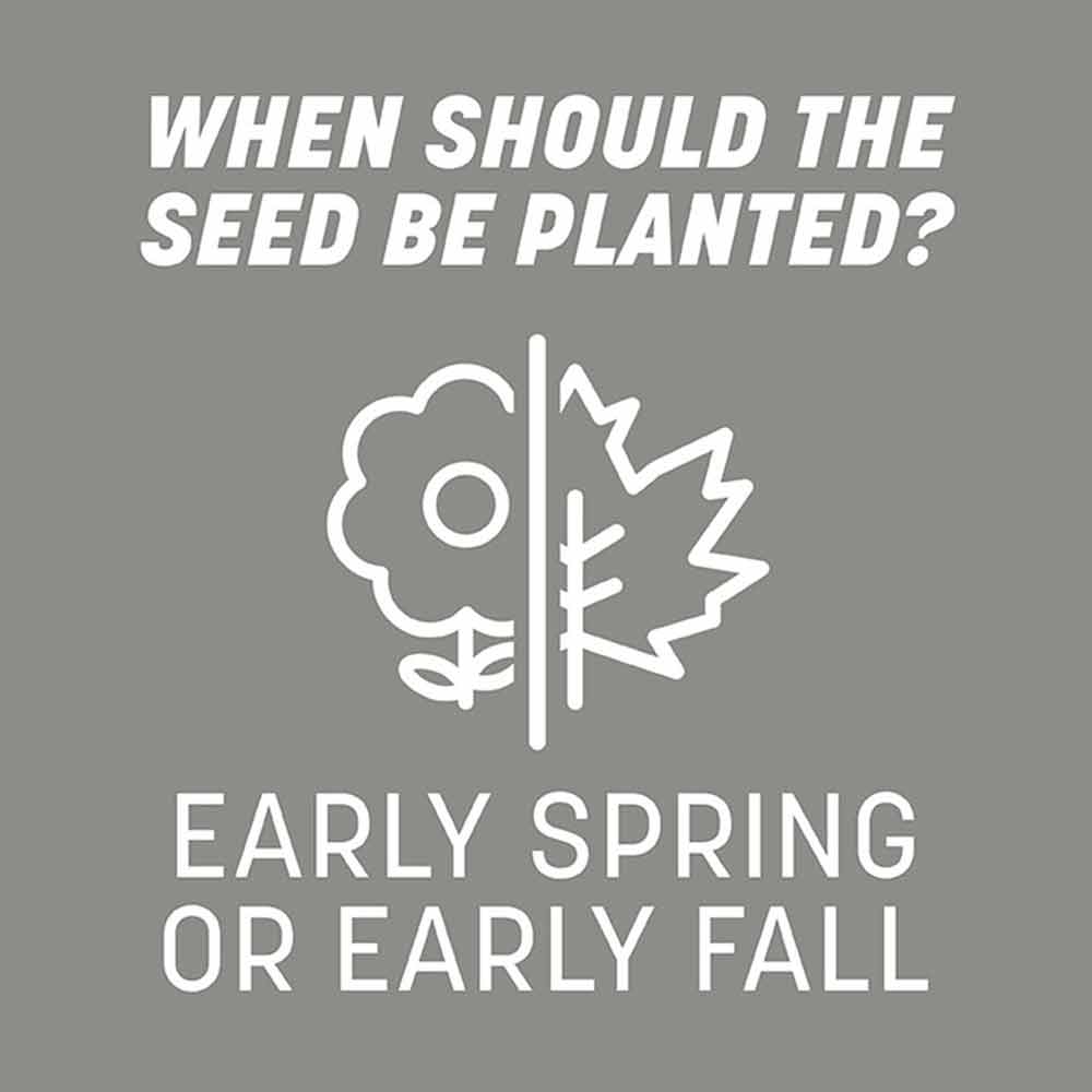 when-to-plant-contractors-mix