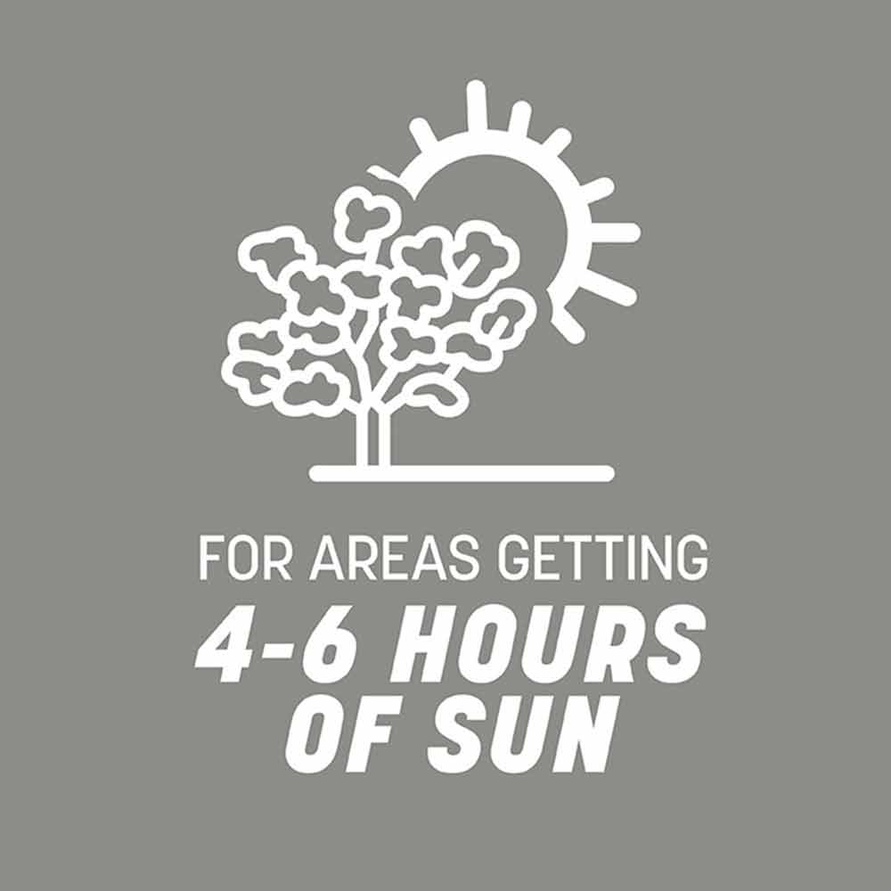 central-contractors-sun-tolerance