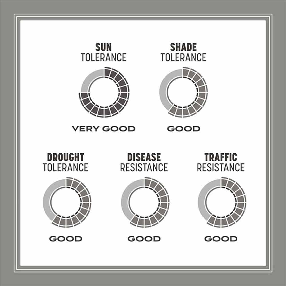 central-contractors-tolerance