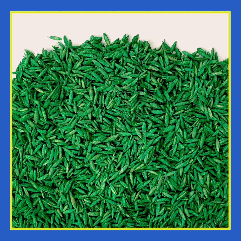 DG356-PE-Smart-Seed-Clover-Grass-Mix-Alt-Images-Walmart-03