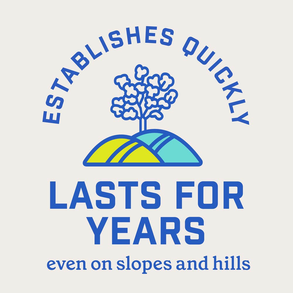 DG356-PE-Smart-Seed-Clover-Grass-Mix-Alt-Images-Walmart-06