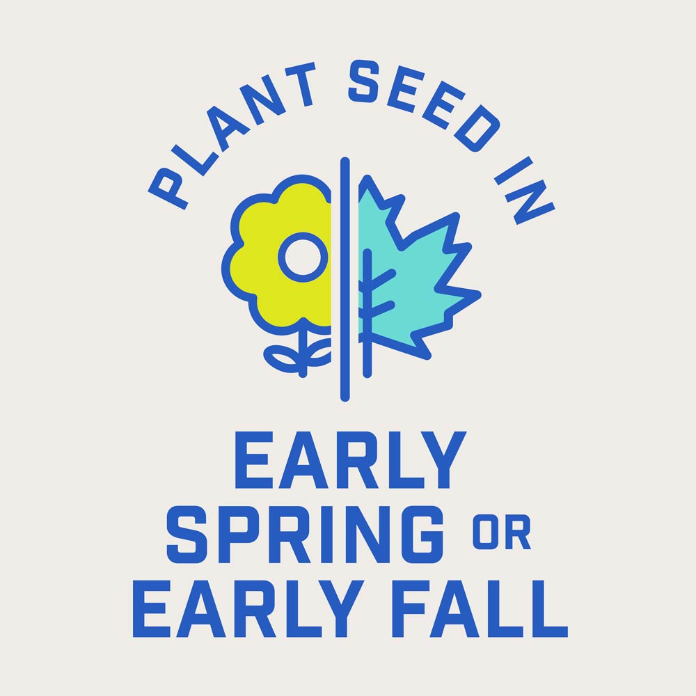 DG356-PE-Smart-Seed-Clover-Grass-Mix-Alt-Images-Walmart-07