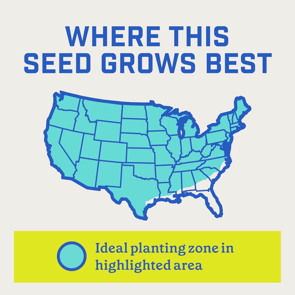 DG356-PE-Smart-Seed-Clover-Grass-Mix-Alt-Images-Walmart-08