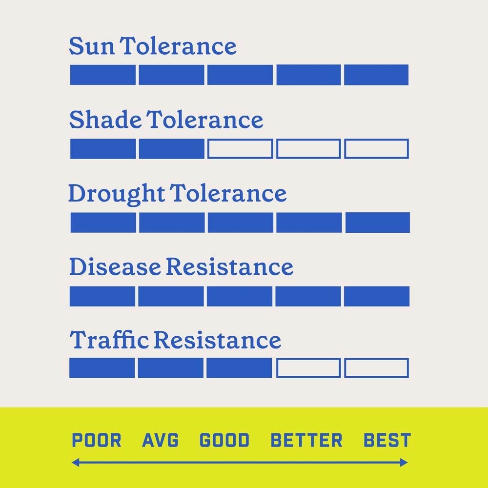 DG356-PE-Smart-Seed-Clover-Grass-Mix-Alt-Images-Walmart-10