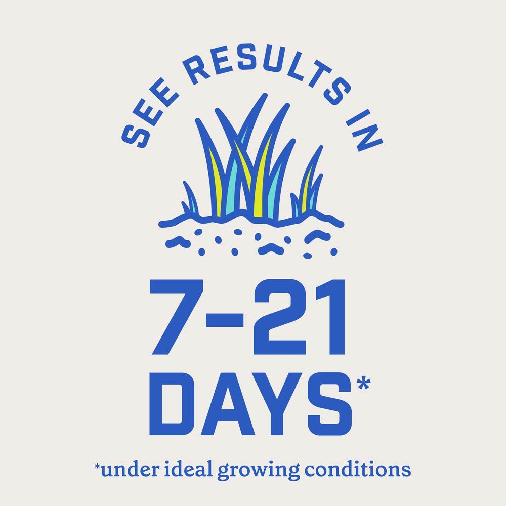 DG356-PE-Smart-Seed-Clover-Grass-Mix-Alt-Images-Walmart-11