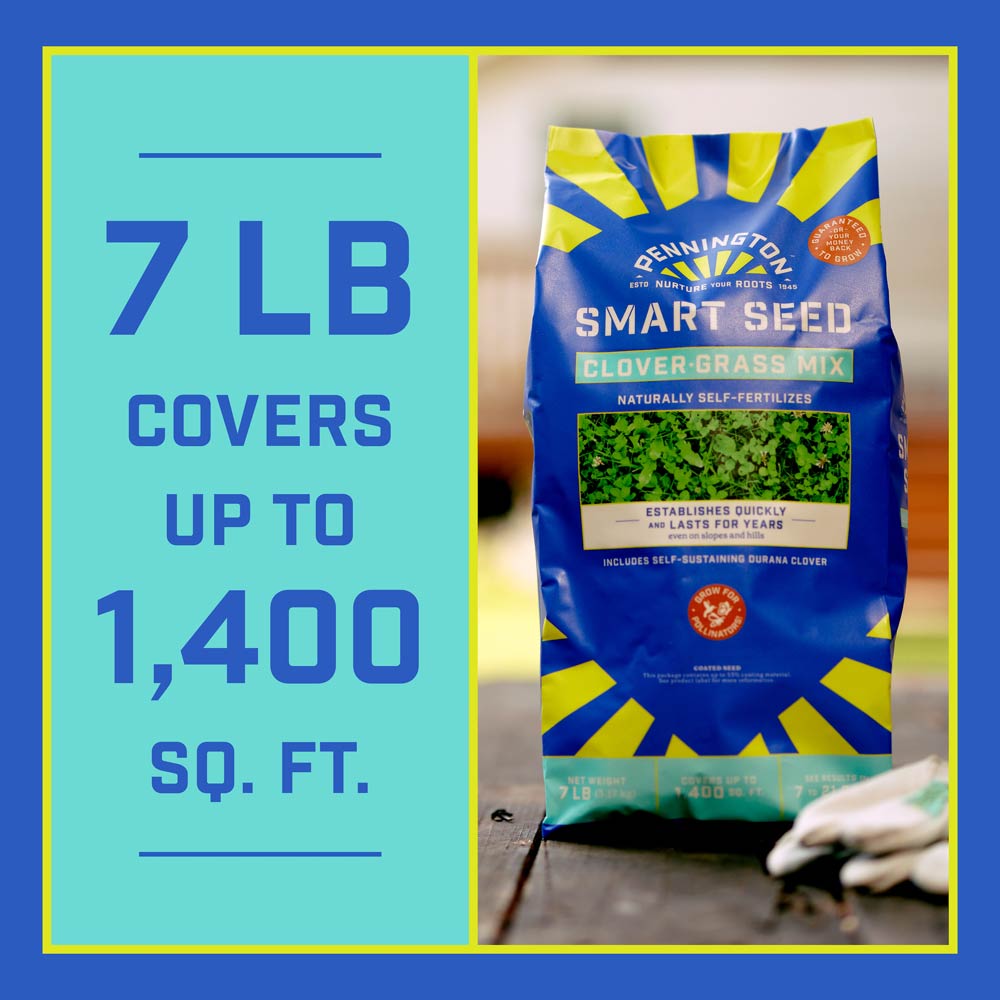 DG356-PE-Smart-Seed-Clover-Grass-Mix-Alt-Images-Walmart-12