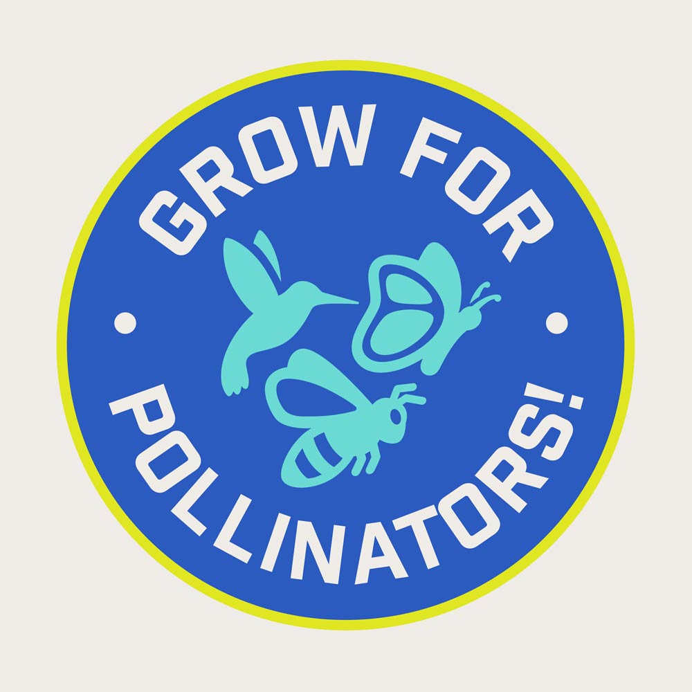 DG356-PE-Smart-Seed-Clover-Grass-Mix-Alt-Images-Walmart-13