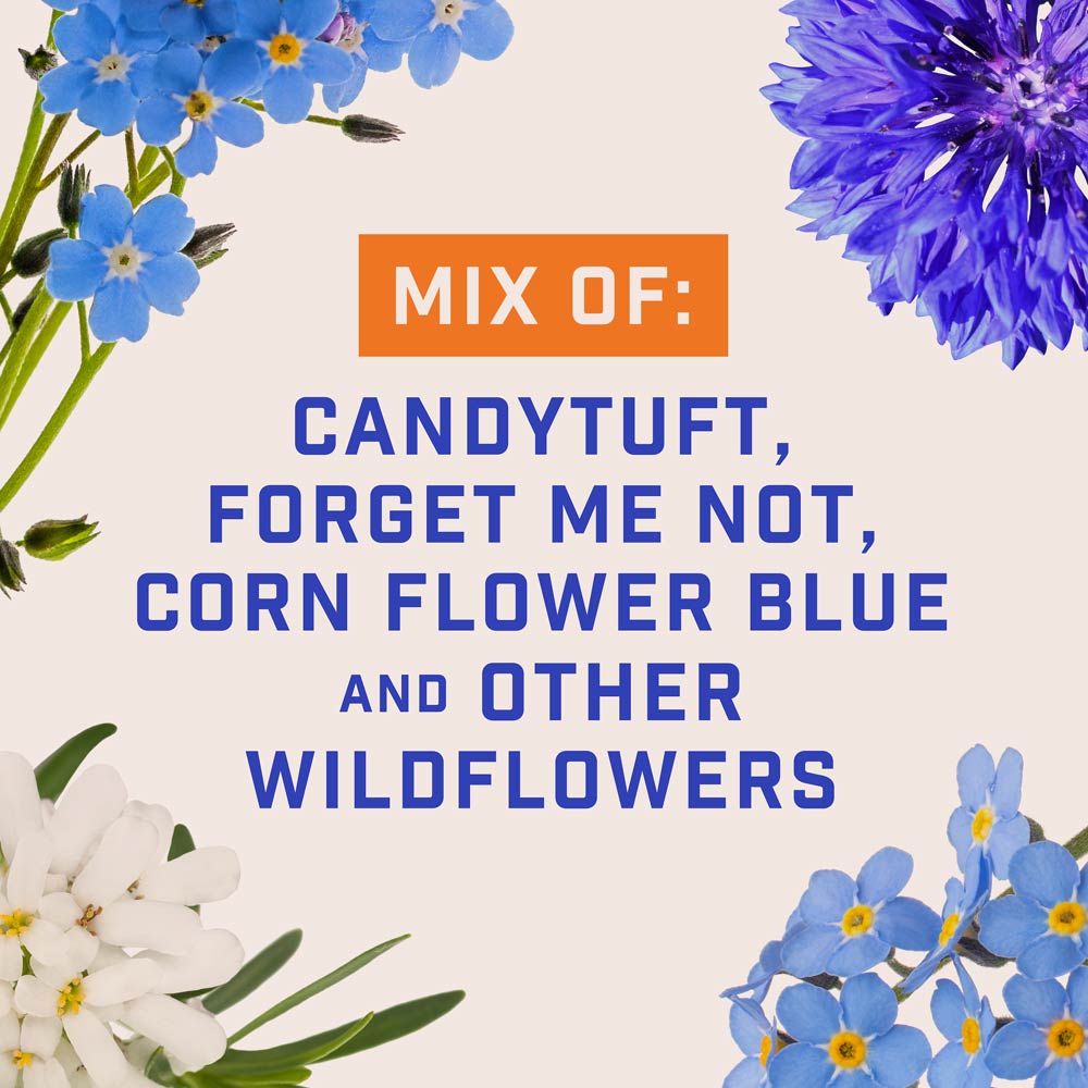 DG360-PE-Wildflower-Hummingbird-Butterfly-Mix-Alt-Images-05