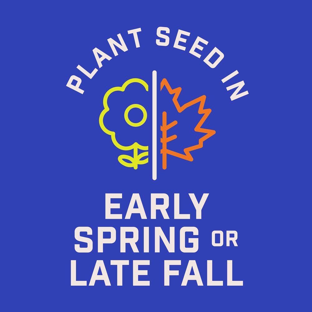 DG360-PE-Wildflower-Hummingbird-Butterfly-Mix-Alt-Images-06