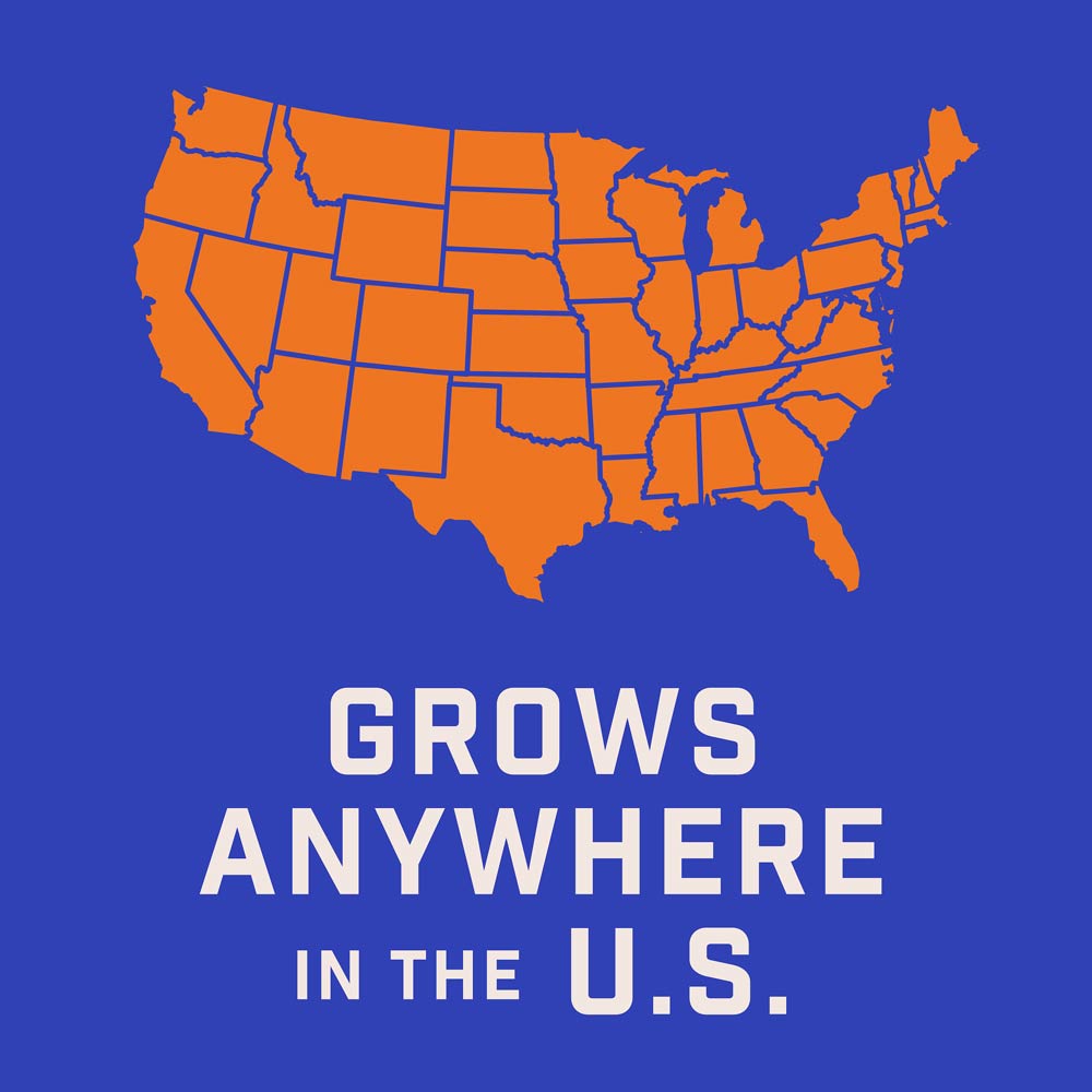 DG360-PE-Wildflower-Hummingbird-Butterfly-Mix-Alt-Images-07