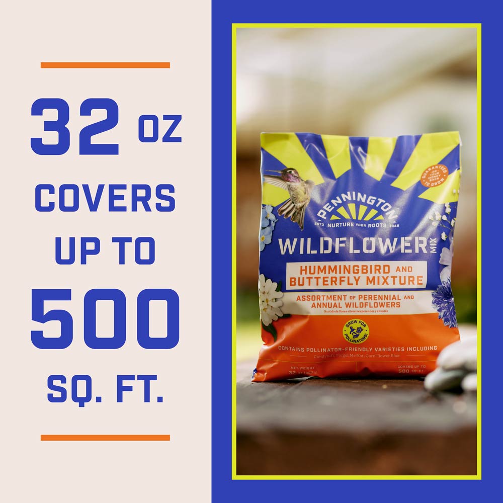 DG360-PE-Wildflower-Hummingbird-Butterfly-Mix-Alt-Images-11